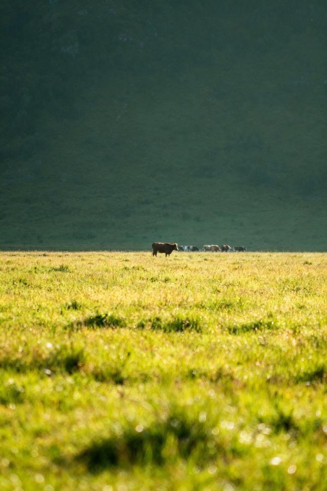 Photograph by Алла Ларина