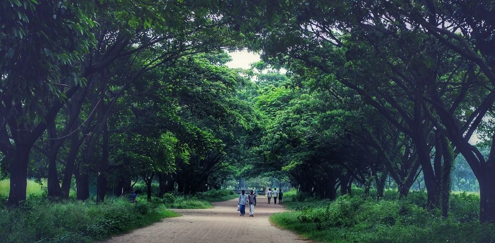 Photograph by Tanvir ahmed patwary