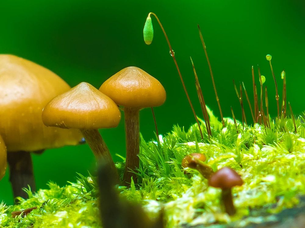 Photograph by Виталий Тимушев