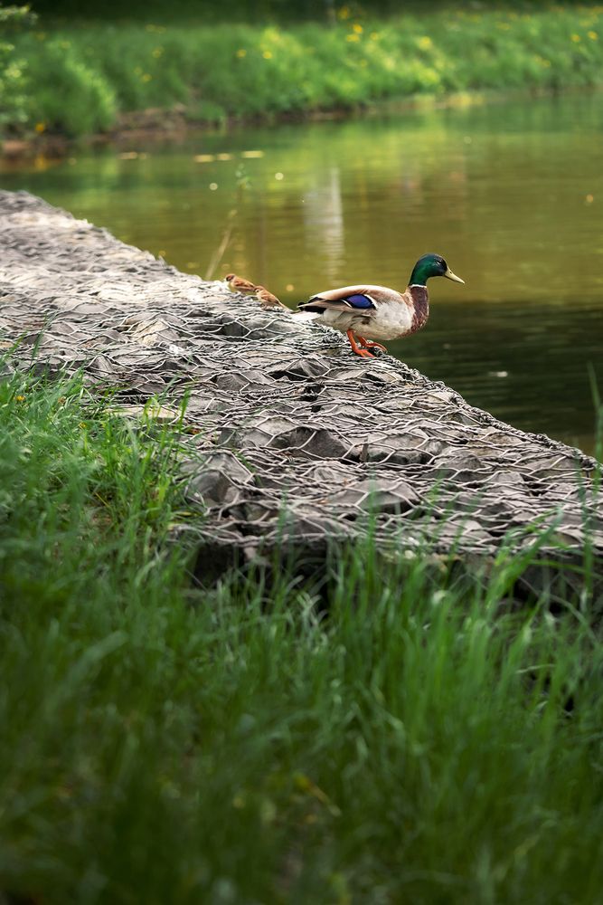 Photograph by Людмила Завьялова