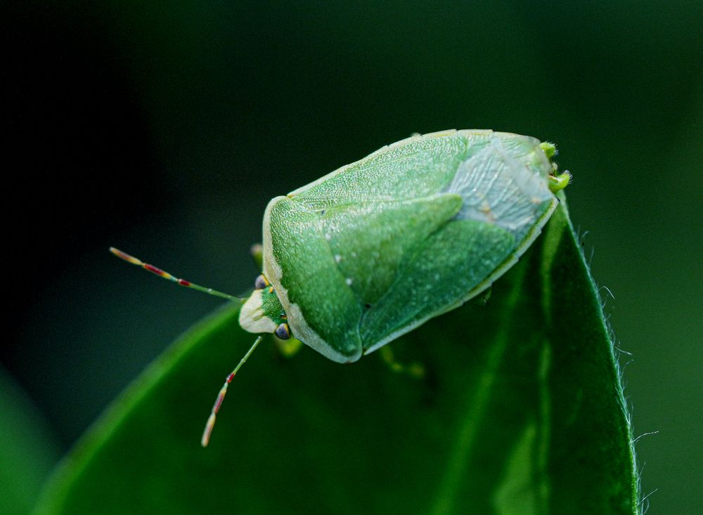 Photograph by ANIL KUMAR DESHPANDE