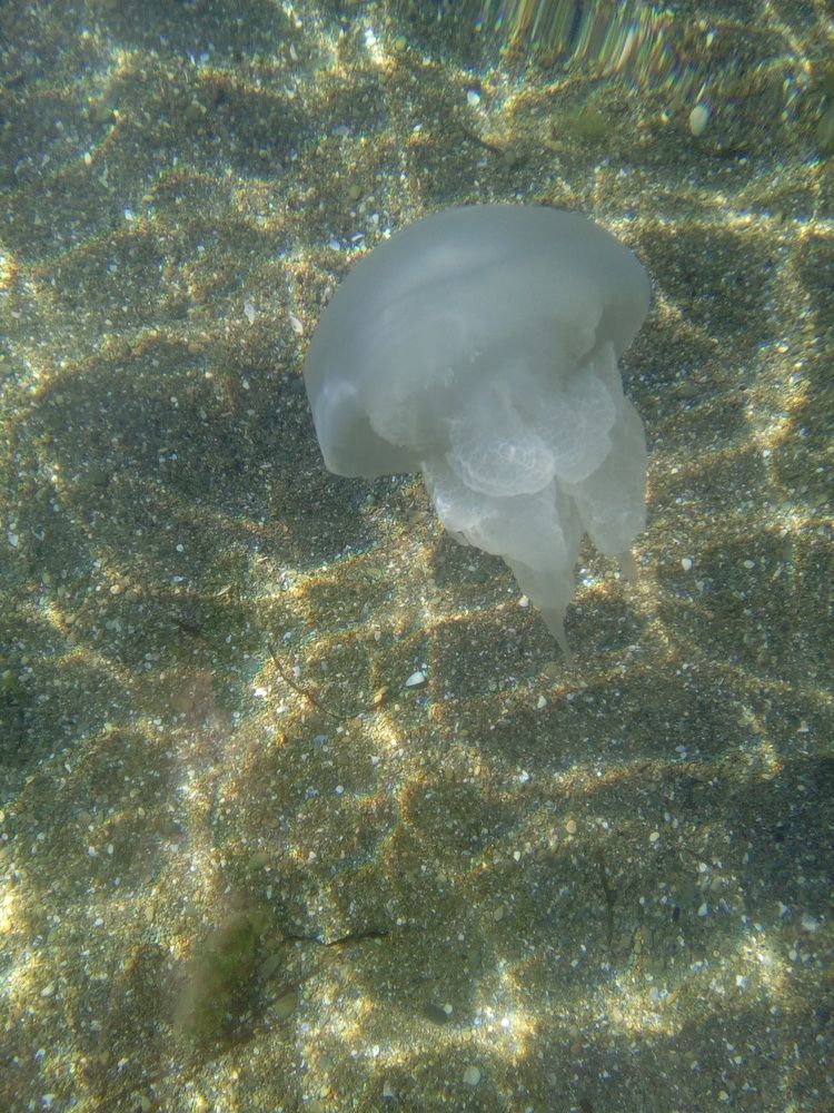 Photograph by Дарина Макарова