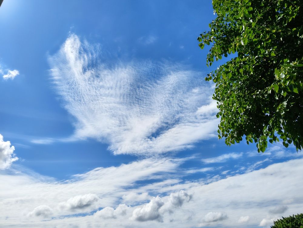 Photograph by Ольга Чайка