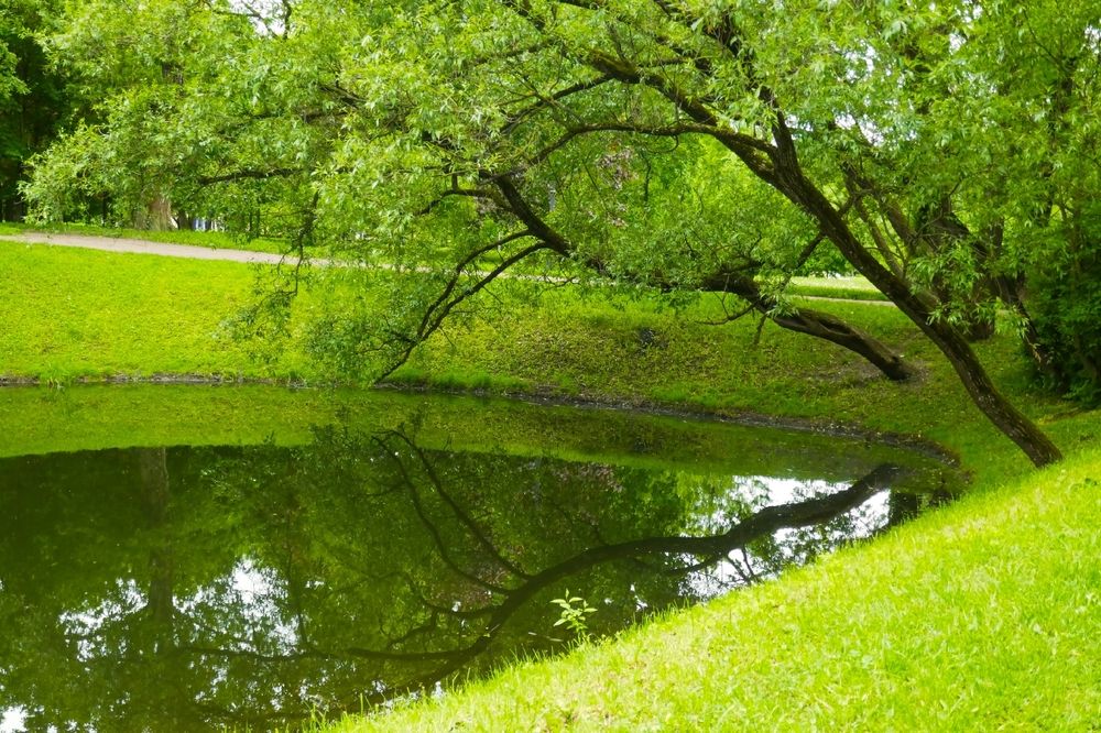 Photograph by Светлана Гордиенко