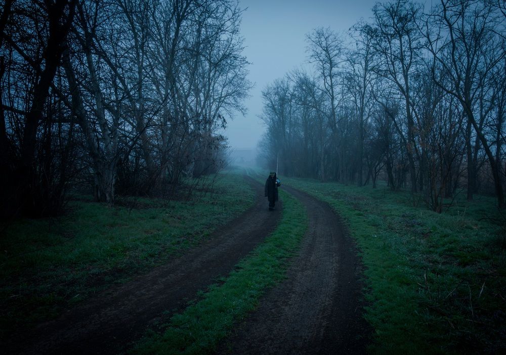 Photograph by Федор Архипов