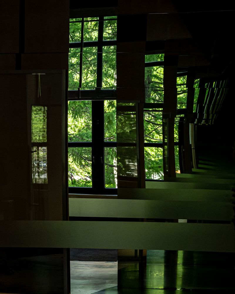 Photo #13641696