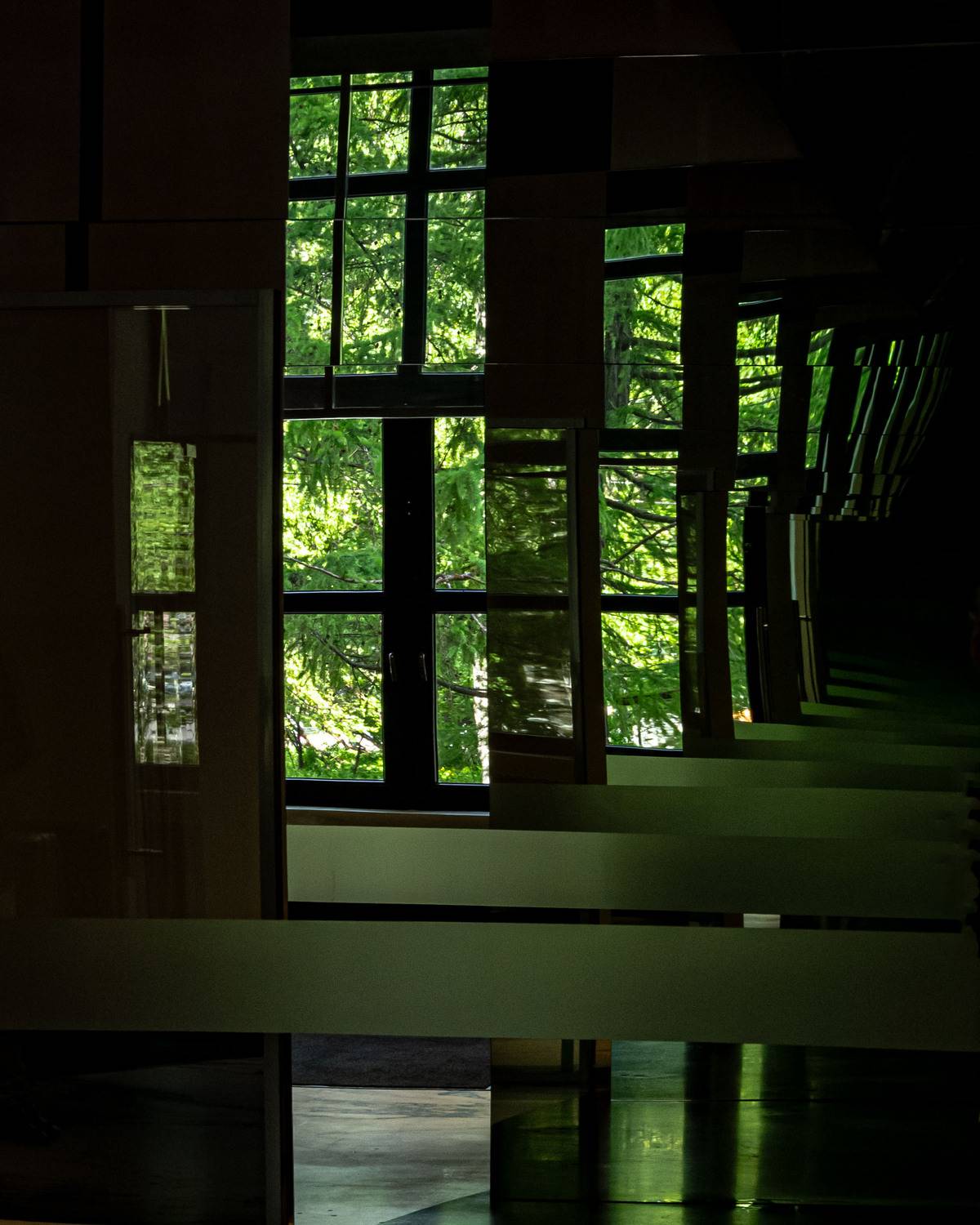 Photo #13641696