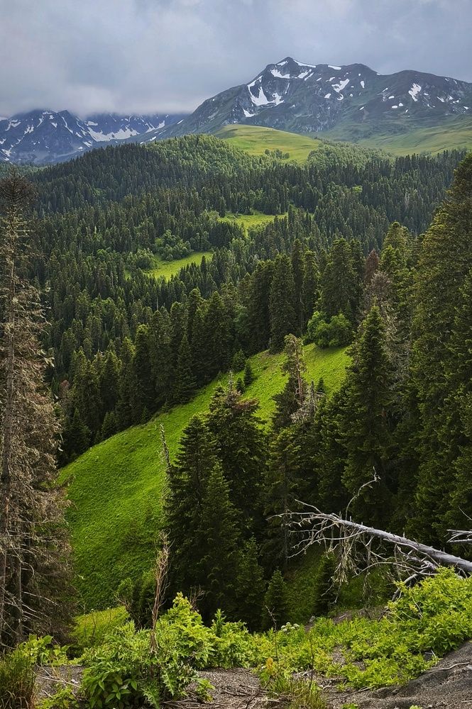 Photograph by Екатерина Нефедова