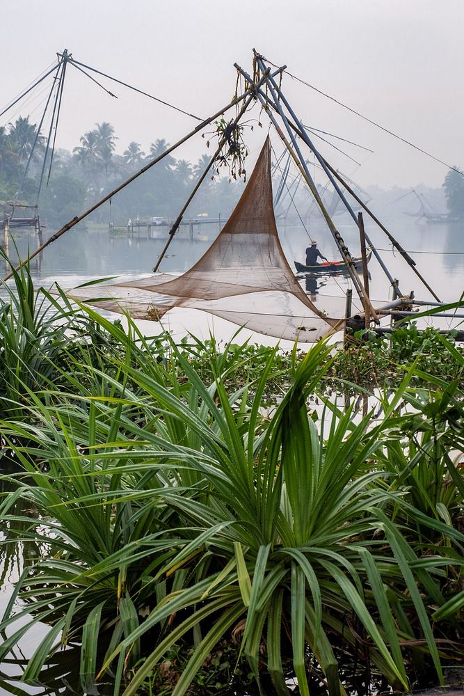 Photograph by Abie Davies Thekkanath