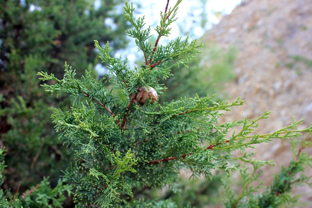 Photograph by Елена Поспелова