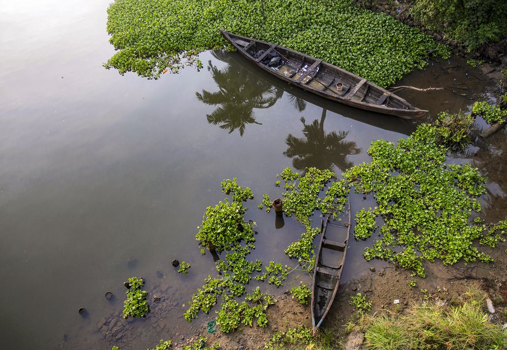 Photograph by Abie Davies Thekkanath