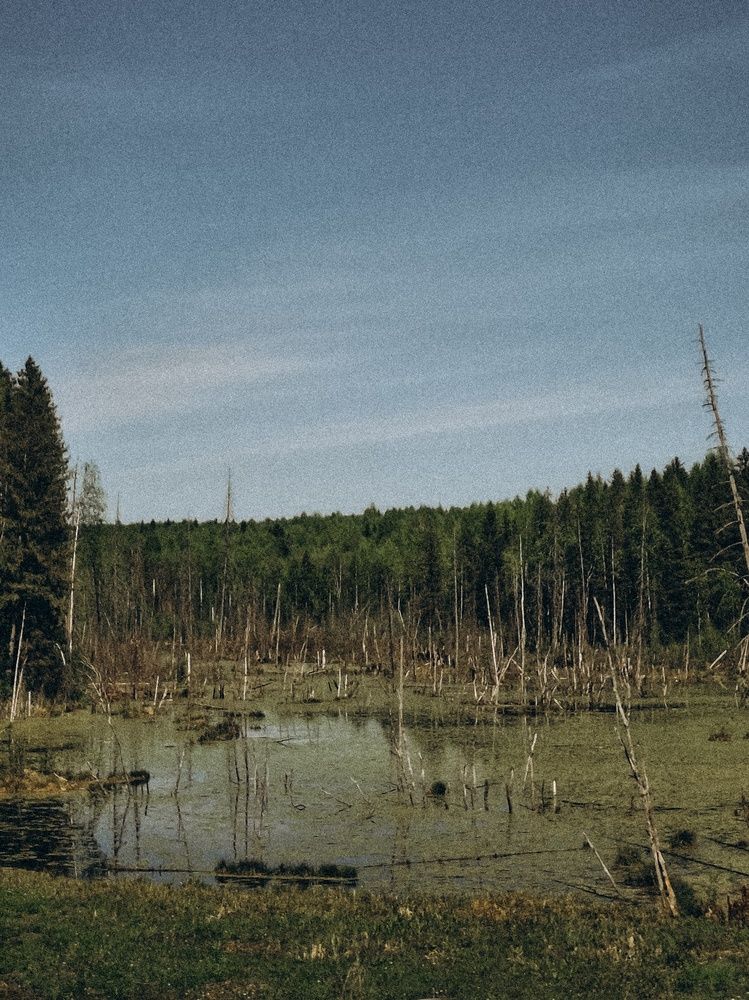 Photo #13641805