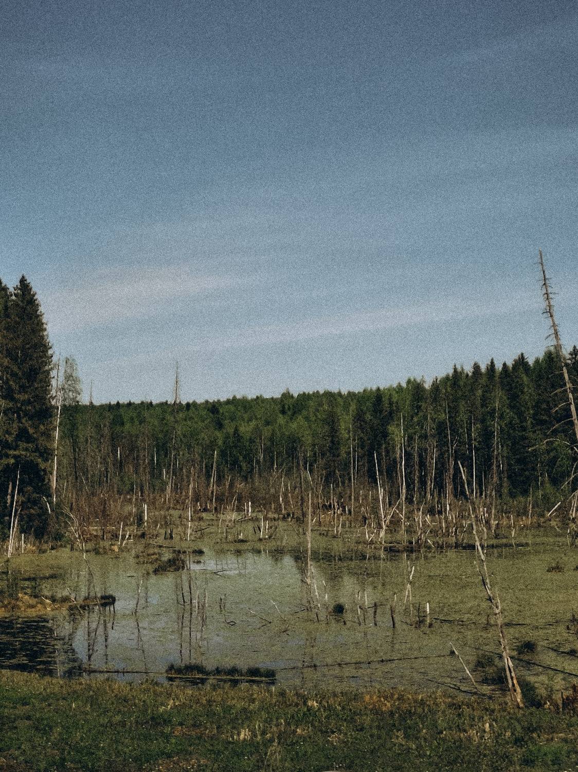 Photo #13641805