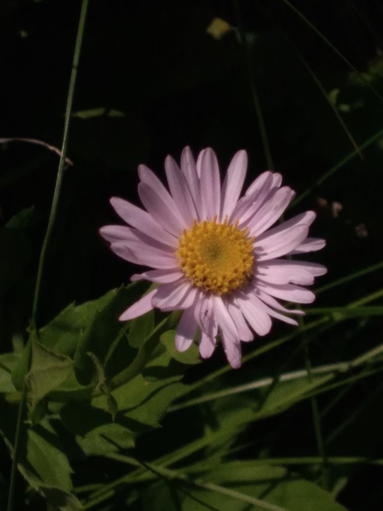 Photograph by Василий Самарин