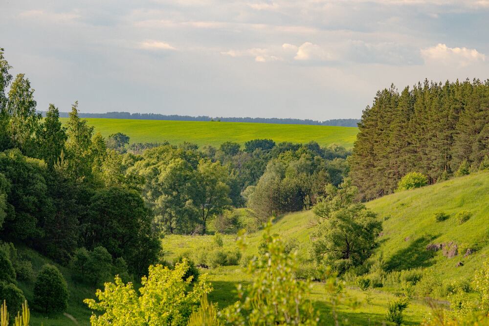 Photograph by Алфия Бугакова