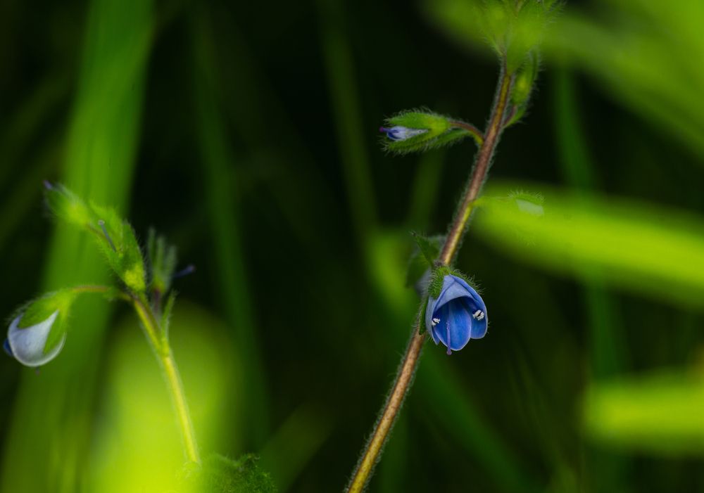 Photograph by Бабаков Александр