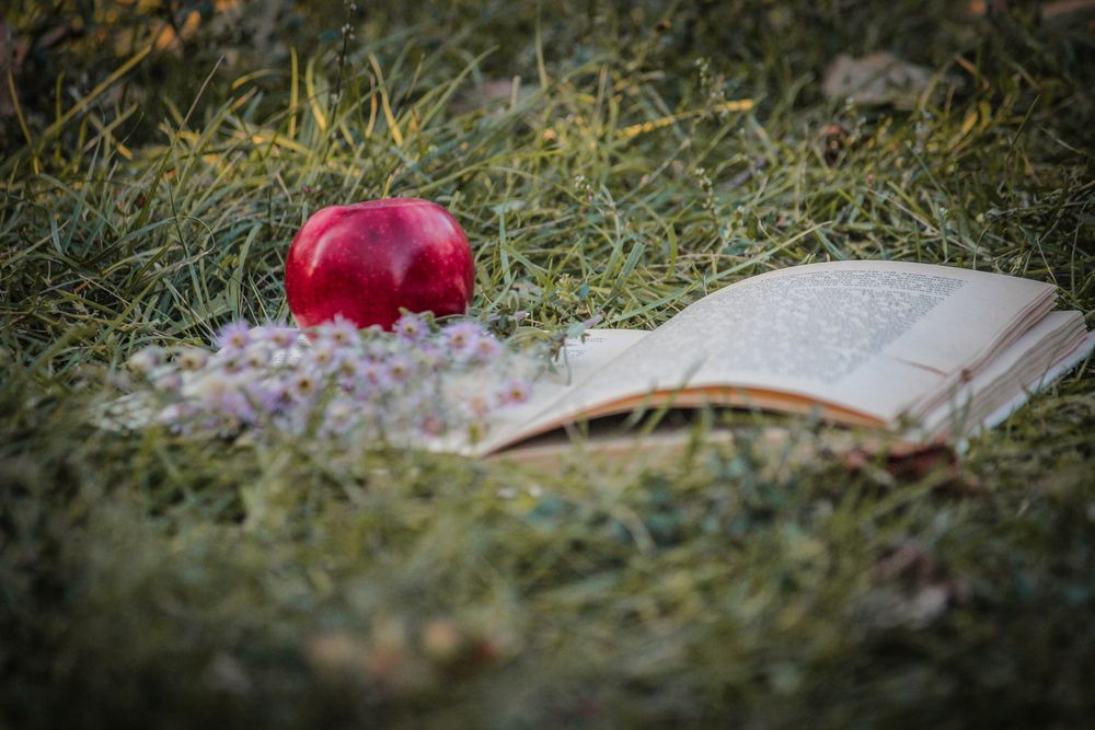 Photograph by Елена Толстопятова