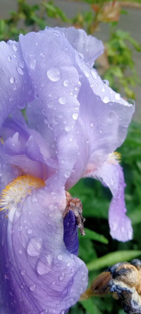 Photograph by Ирина Рягузова