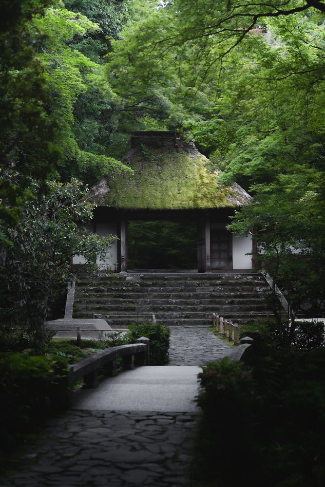 Photograph by Taketo Kazuho