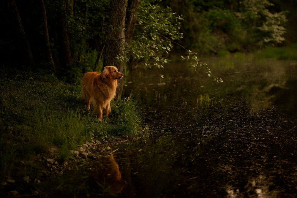Photograph by Maja Esch