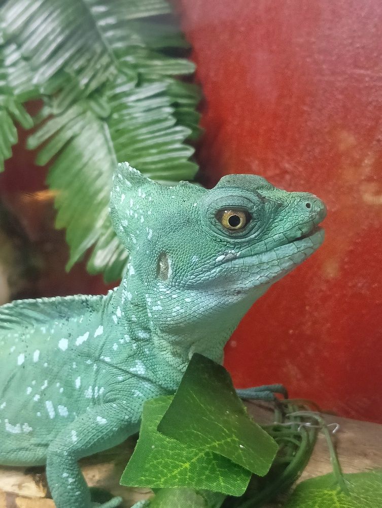 Photo #13642068