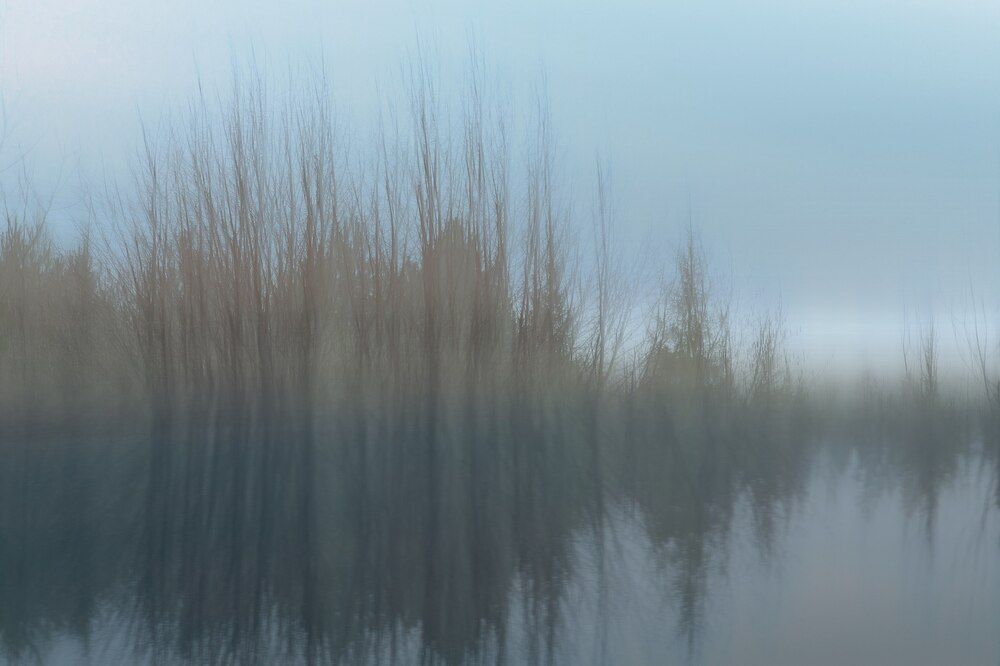 Photograph by Туева Наталья