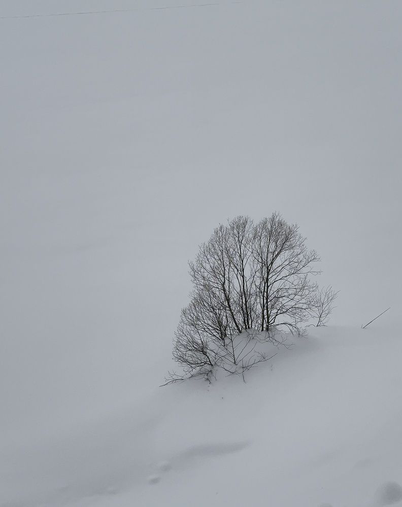 Photograph by Туева Наталья