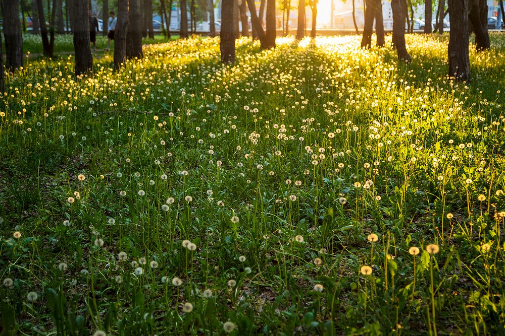 Photograph by Галина Чепиль
