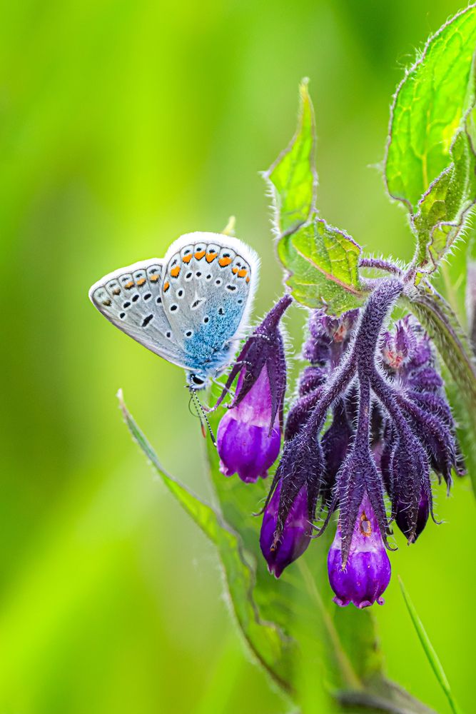 Photograph by Аня Проскурякова
