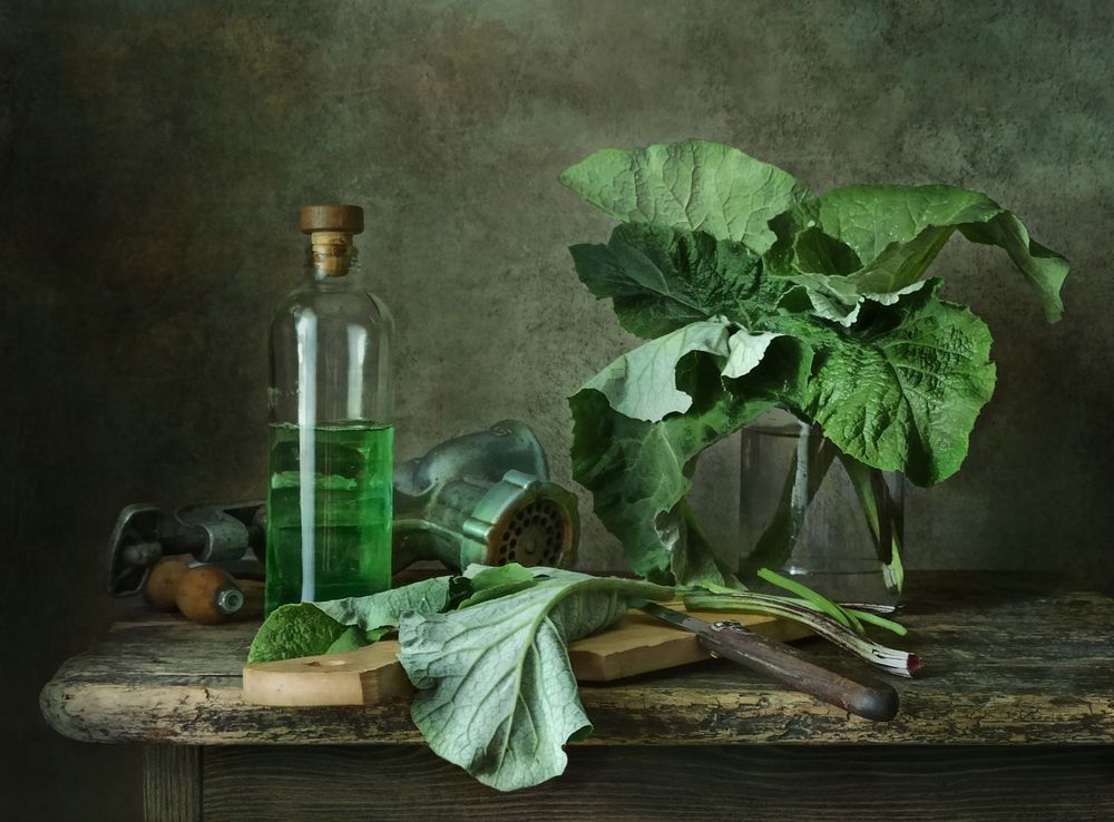 Photograph by Elena Novikova
