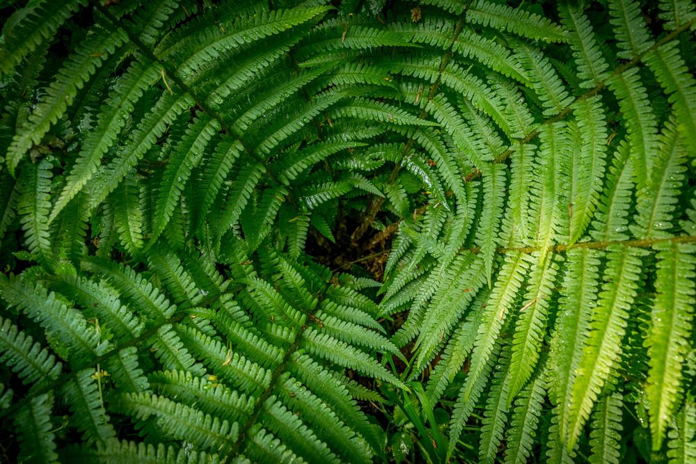 Photograph by Michael Firmbach