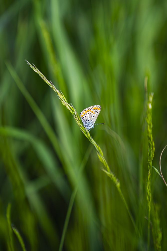 Photograph by Rustem Muraxas