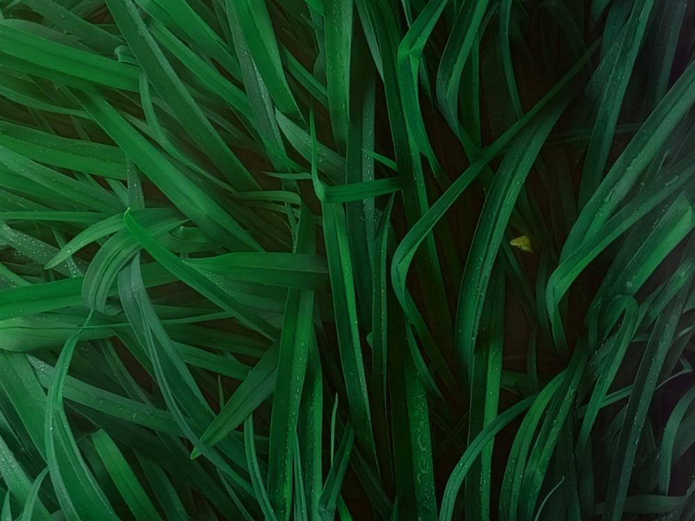 Photograph by Иван Левин