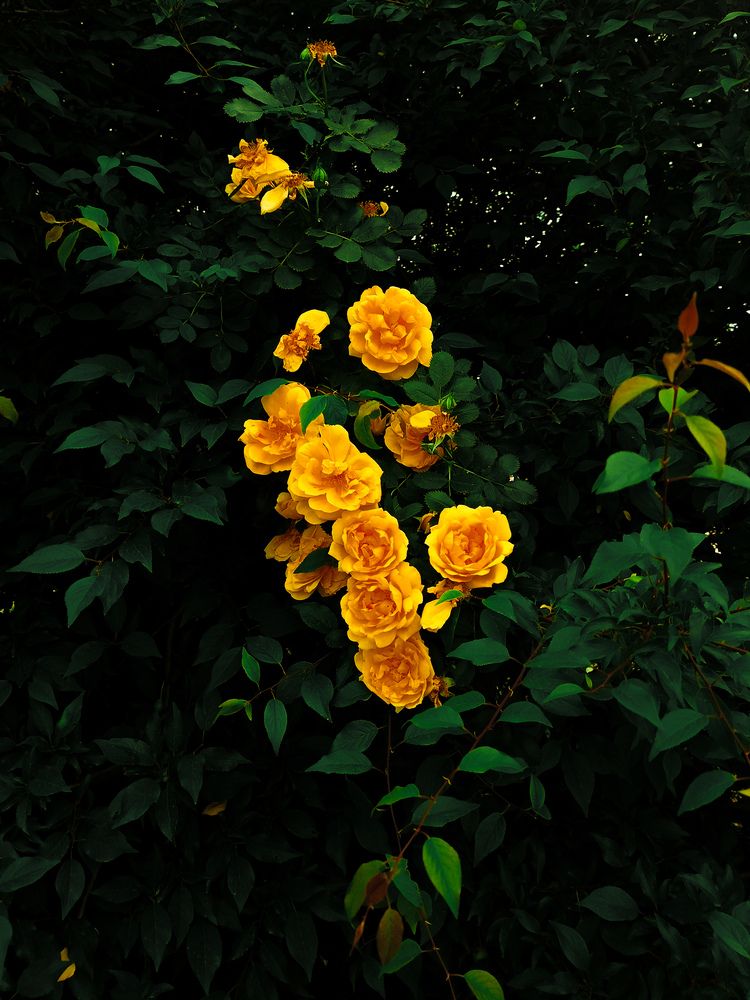 Photograph by Иван Левин
