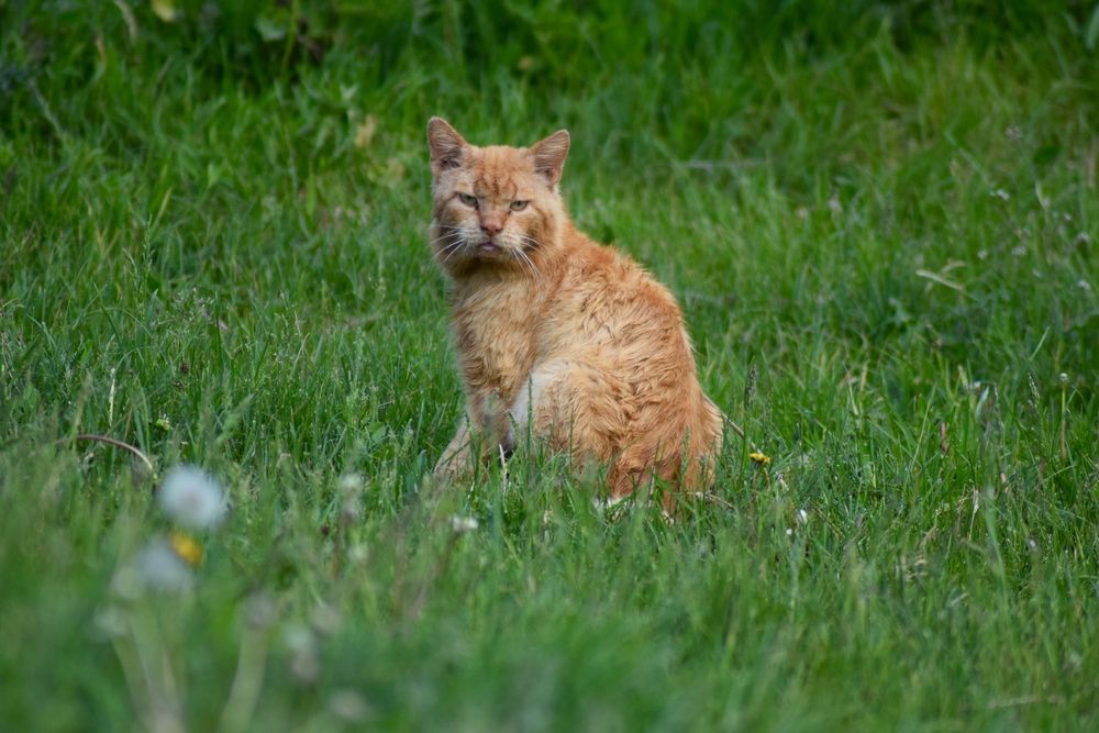 Photograph by Альбина Рамилевна
