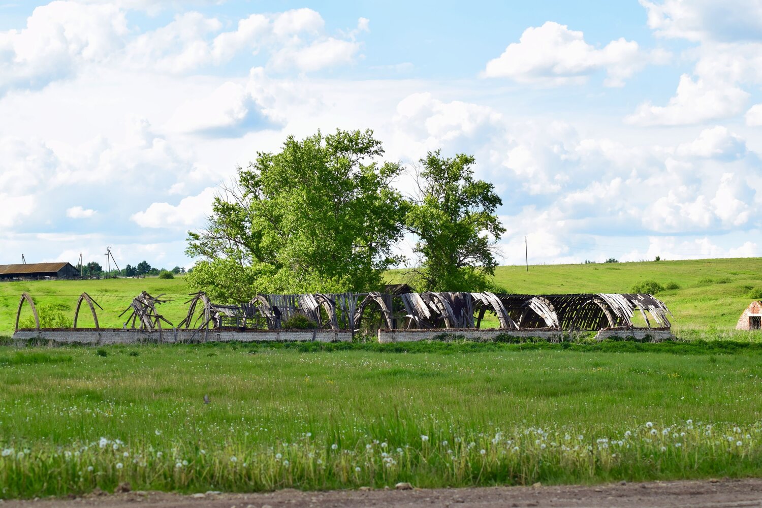 Photo #13642459