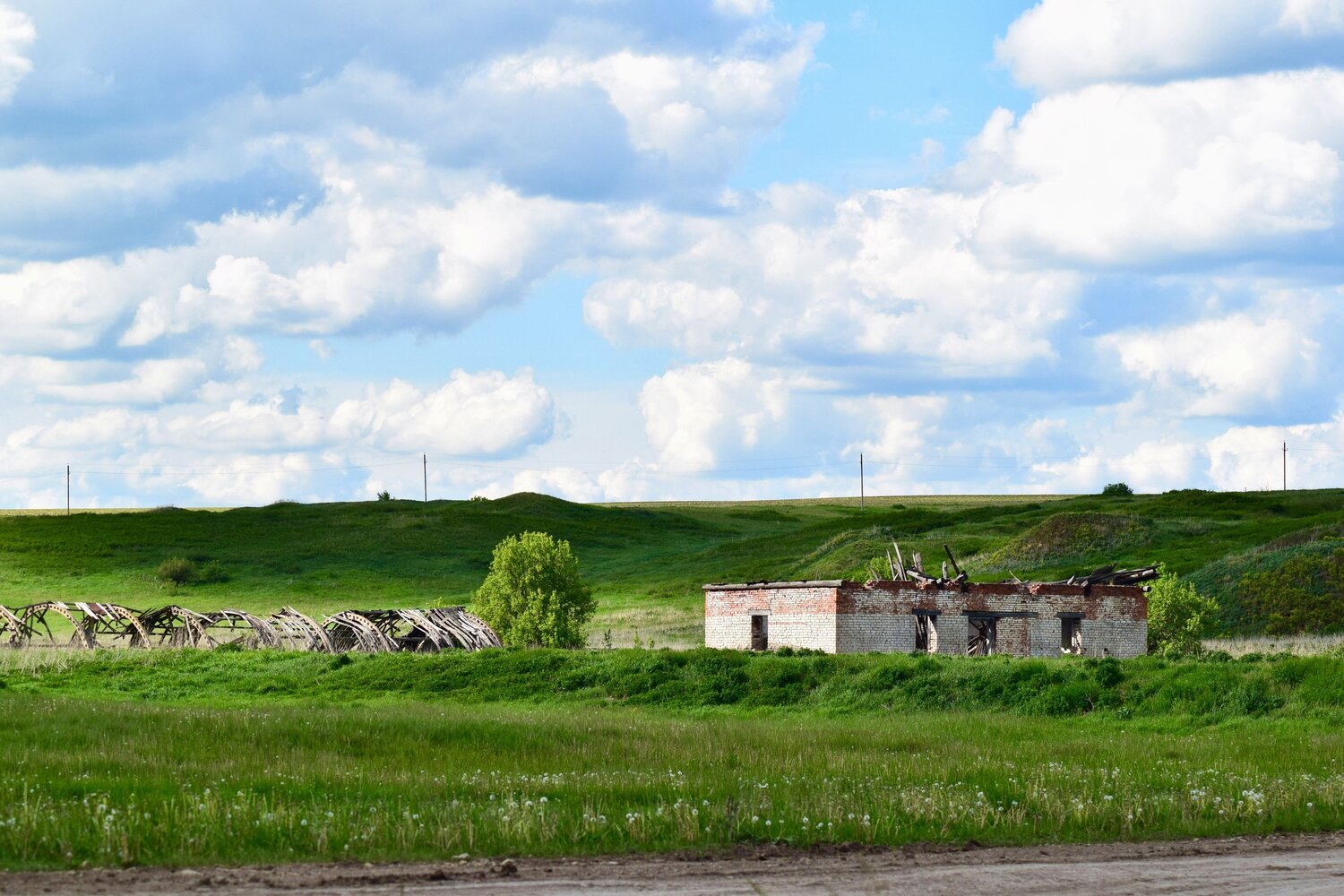 Photo #13642460