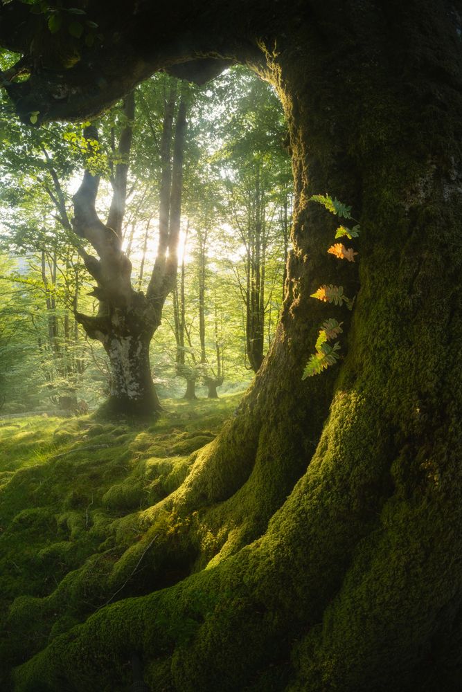 Photograph by david Navia