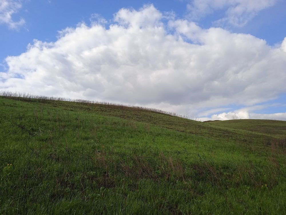 Photograph by Наталья Сорокина