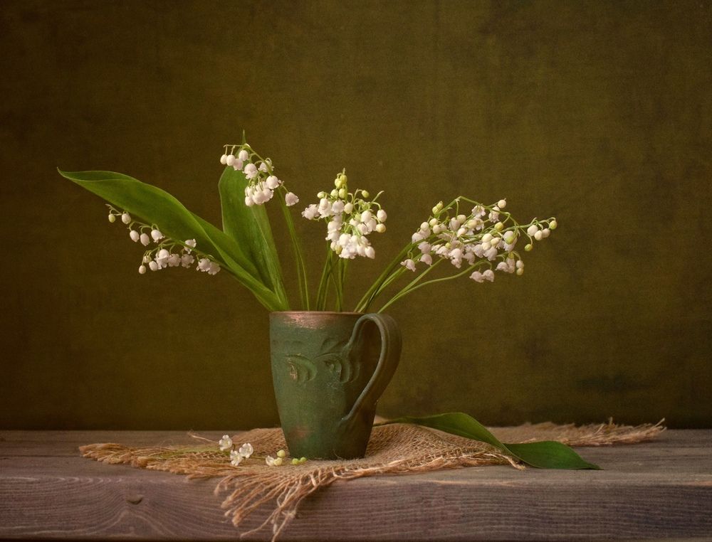 Photograph by Антонина Шабышева