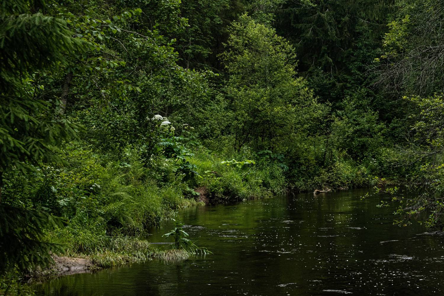 Photo #13642549