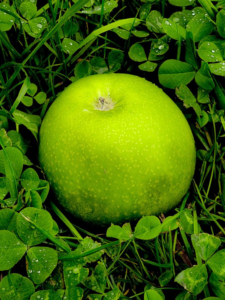 Photograph by Сергей Кесаев