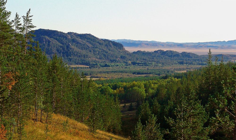 Photograph by Михаил Максимов