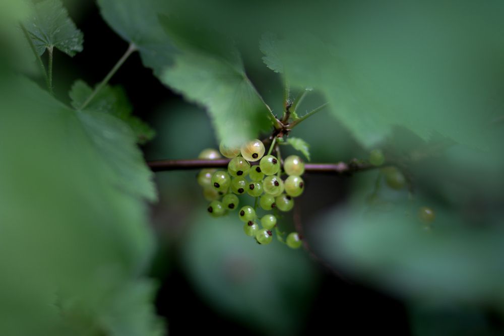 Photograph by Olga Vasina