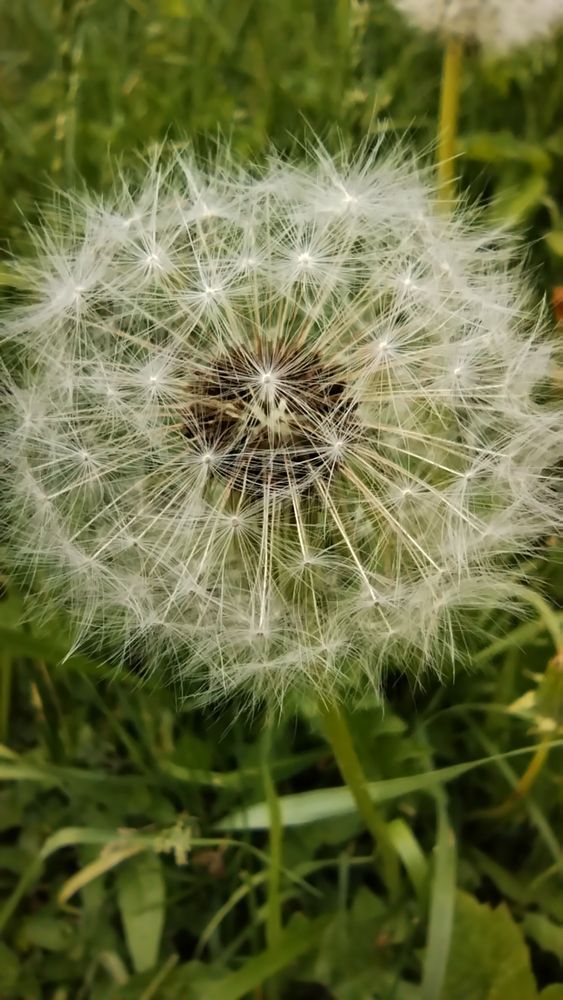 Photograph by Юлия Морозова