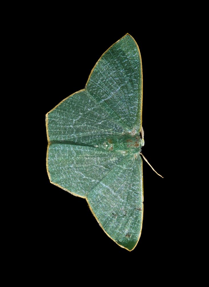 Photograph by Chowdhury Sumitava