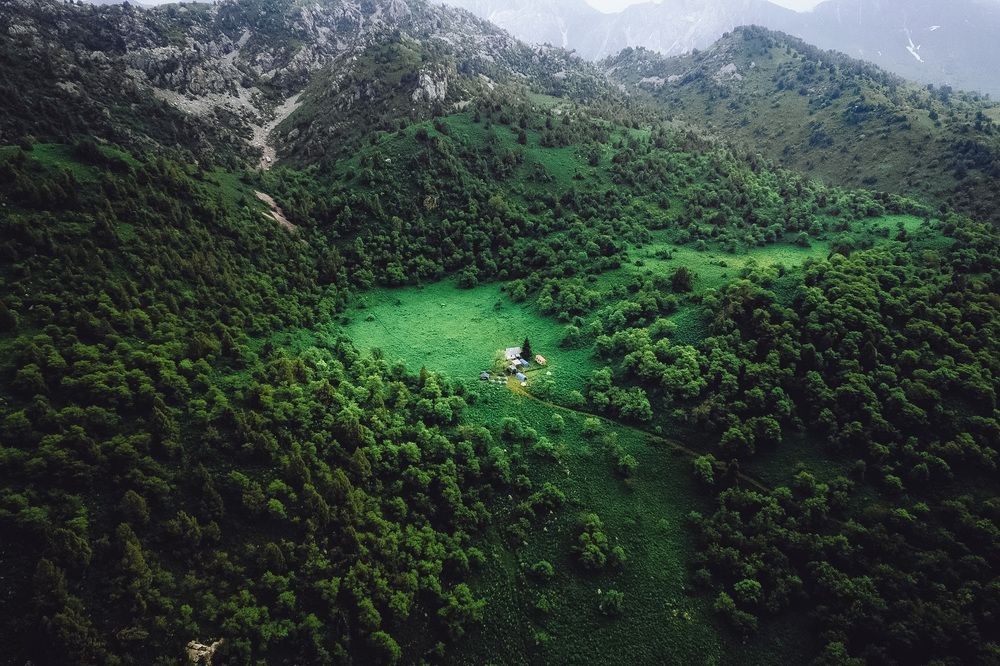 Зелёный ковчег среди каменных хребтов