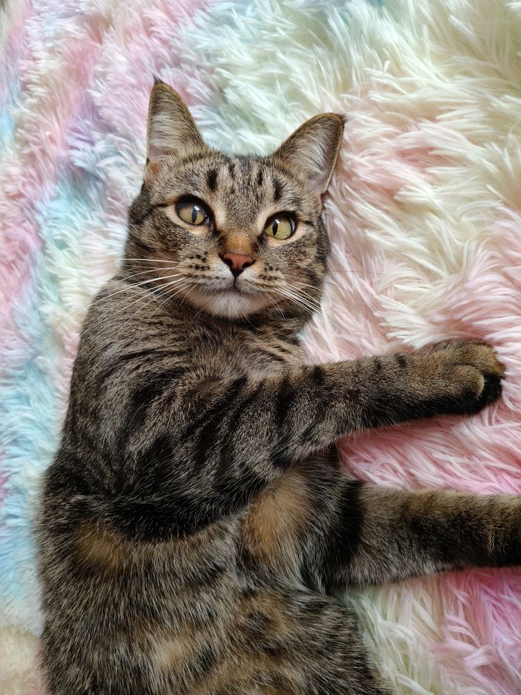 Photograph by Марина Колягина
