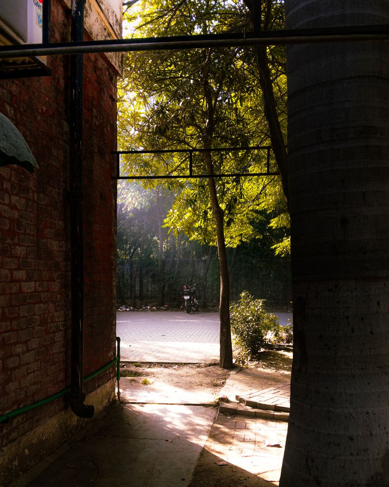 Photo #13643055