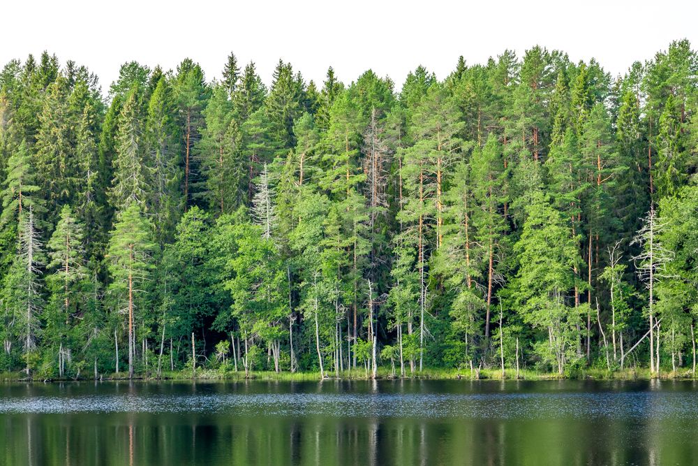 Photograph by Вячеслав Рудинский